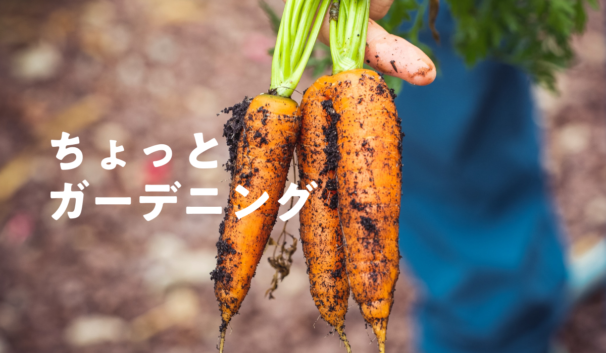 シェアリングエコノミー（マッチング）